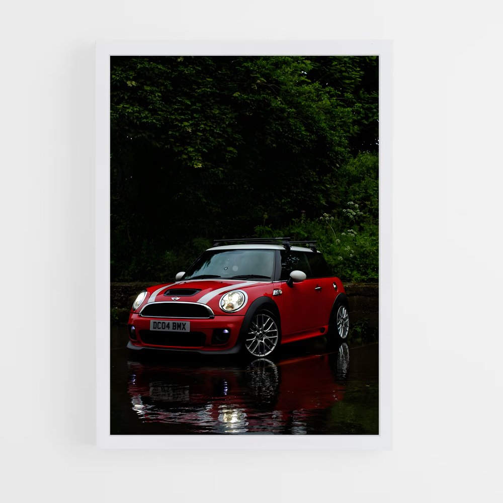 Poster Mini Aquatique (vue 3)
